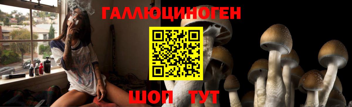 Псилоцибиновые грибы GOLDEN TEACHER Усть-Джегута